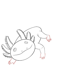 Kalamon's ﻿tools is a fresh take on the traditional minecraft textures. How To Draw An Axolotl Draw Central Drawings Axolotl Paper Drawing