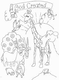 Creation Coloring Pages For Preschoolers Free Coloring Sheets Sunday School Coloring Pages Bible Coloring Pages Sunday School Coloring Sheets