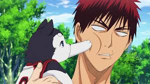 Top 20 Cute Anime Dogs Myanimelist Net Gohan the husky is an american youtuber mainly featuring his dog gohan. top 20 cute anime dogs myanimelist net