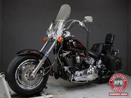 Image result for Vivid Black 1993 FXSTS