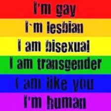 The full acronym (that i know of) is lgbtqiap, which means lesbian, gay, bisexual, transgender/transsexual, queer/questioning, intersex, asexual/aromantic/agender/ally, and pansexual. Lgbtqiap Lgbtqiaphy Twitter