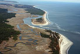 Image result for georgia coast