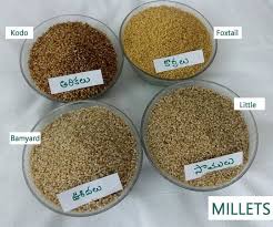 Pin On Millets