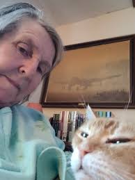 Good afternoon meet Lilly she is 11 years old and a few months I adopted  her