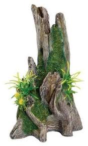 Danmu 1pc of glowing effect artificial coral, aquarium coral decor, coral ornaments, plant ornaments for fish tank aquarium decoration flower shape 2 7/10 x 3 9/10 4.6 out of 5 stars 102 $12.99 $ 12. Jacob Mainville Kingjattara Profile Pinterest