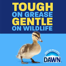 Dawn Free & Clear EZ-Squeeze Dish Soap, Unscented Same-Day Delivery or  Pickup