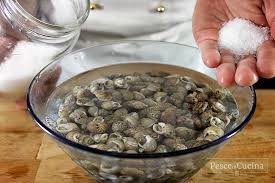 Per pulire il pavimento parto da un angolo della stanza e vado verso la porta, dopo aver spostato tutte le cose ingombranti, come le sedie o dei mobiletti facilmente rimovibili. Pulire E Lessare Le Lumachine Di Mare Pesce In Cucina