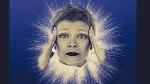 The 7 Bach Flower Groups