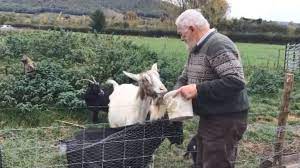 A second woman who stepped out of the car to help fend off the injured woman was taken to hospital and the park was shut down while an investigation into the incident was launched. Pet Goat Killed For Satanic Ritual Owner Says Bbc News