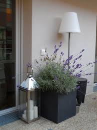 Lampe De Terrasse Outdoor Gardens Garden Flower Garden