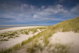 Nordseeinseln Welche Insel Passt Zu Mir Brigitte De