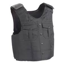 point blank paca tailored armor carrier