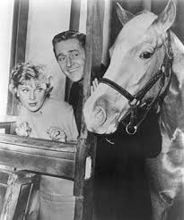 Creature Features Animal Stars Of The Tube Mister Ed Tv Shows Classic Tv