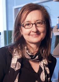 Gemma Reguera, Amy Ralston join NatSci leadership team