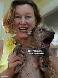 46 Dog1 Stock Photos, High-Res Pictures, and Images