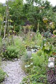 Bring in the pristine yard if that's your. 27 Natural Wild Garden Ideas Garden Garden Inspiration Plants