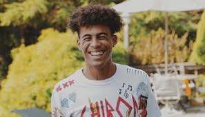 Zlatan lagos anthem official video. Zlatan Ibrahimovic S Net Worth 2020 Wiki Age Height Wife Cars Kids And More Facts