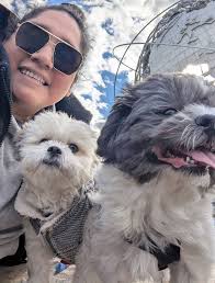 Adoption Alert! Bailey, Colette, Frankie and Johnny have all found their  new homes! To adopt an animal, please visit bobbiandthestrays.org and fill  out an adoption form to get started #bobbiandthestrays