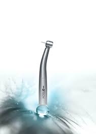 Image result for Turbina longiflora