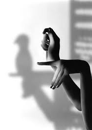 Parrot Michelletree Shadow Photography Hand Shadows Hand Photography