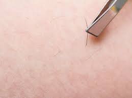 Now that your pubic hair has been trimmed down to a quarter inch or less, prep your skin for shaving. 6 Reasons You Should Not Shave Your Pubic Hair The Times Of India