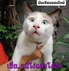 มีใบประกาศ 3 คอร์สสุดฮอต สำหรับข้าราชการและบุคลากรภาครัฐ ตามนโยบายขับเคลื่อนรัฐบาลดิจิทัล à¸¡ à¸¡à¹€à¸£ à¸¢à¸™à¸­à¸­à¸™à¹„à¸¥à¸™ Posts Facebook