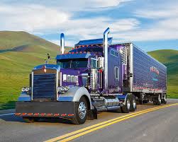 Image result for Violet 1999 Truck