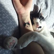 Cat Tattoos Are Probably The Cutest Way To Break The Law In South Korea Cute Cat Tattoo Cat Tattoo Cat Tattoo Designs