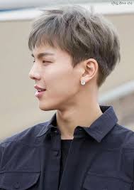 Pin By Scabs On Hair In 2020 Mens Hairstyles Short Asian Hair Men Hair Color