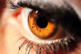 9 52 eyes like amber amber eyes pretty brown eyes pretty eyes