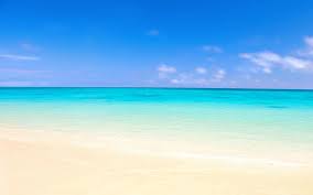 Starfish beach images hd wallpaper #beachimageshd | tropical beach. Sea Beach High Definition Wallpaper Beach Wallpaper Better