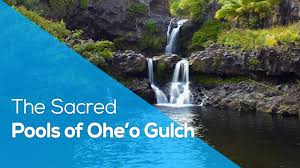 The seven sacred pools are no exception. The Sacred Pools Of Ohe O Gulch Hawaii Trips Youtube