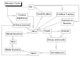 environmental biology sequence ecosystems