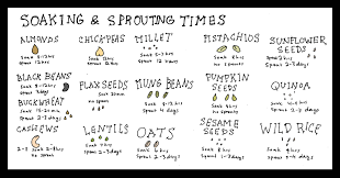 complete soaking times for nuts and seeds chart 2019