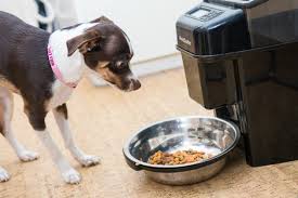 #1 petsafe healthy pet simply feed (4.4/5). The Best Automatic Feeder For Cats And Small Dogs Reviews By Wirecutter