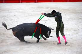 Aldorachan onlyfans leaks Co H0DJYvB36a X.