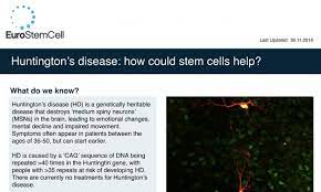 Huntington S Disease How Could Stem Cells Help Eurostemcell