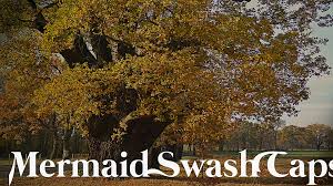 Oleo script is currently available in two weights, regular and bold. Oleo Script Swash Caps Font Family Download Free For Desktop Webfont