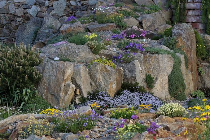Rock garden