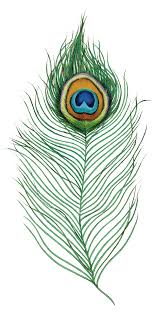 Feather peacock peacock feather svg feather svg peacock svg decoration decorative symbol ornate ornament element decor background bird ornamental feathers colorful sketch beautiful artistic backdrop animal icon elegance drawing outline color texture nature peacock feathers classic painting peafowl. Download Peacock Feather Full Size Png Image Pngkit