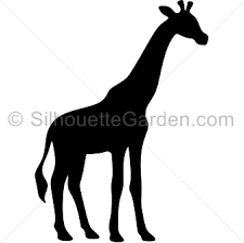 Download Giraffe Silhouette Giraffe Silhouette Giraffe Animal Silhouettes