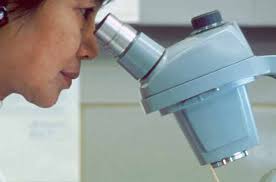 Welcome, Mark Quinlan