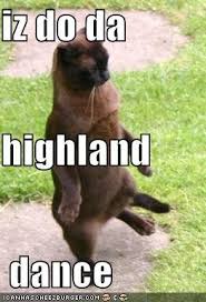 Untitled Highland Dance Dance Memes Funny Cute Cats