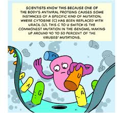 Maybe you would like to learn more about one of these? Coronavirus Evolving How Mutations Arise And New Variants Emerge