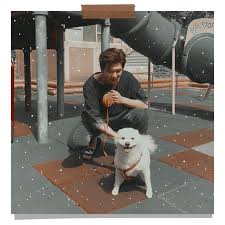 As fans trended a new army aesthetic on twitter where the yellow concept photo . Bts Rm Bts Aesthetic And Namjoon Image 6016261 On Favim Com
