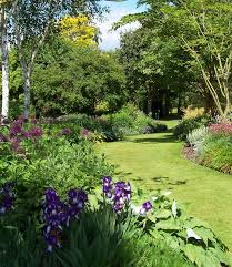 Colchester Open Gardens Beautiful Gardens Beautiful Flowers Garden Dream Garden