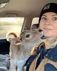 Cutest Cow Lover (@cutest_cows_ig) · Instagram 照片和视频