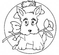 Black And White Butterfly Meaning Tagalog 3 Vintage Embroidery Lace Trim By 1 Yard Off White Tr 11544 Dog Embroidery Designs Paper Embroidery