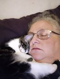 Happy Tabby Tuesday!! Ziggy was stretched out