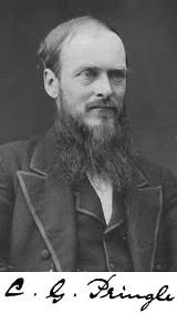 Cyrus Guernsey Pringle (1838-1911)